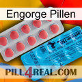 Engorge Pills new14